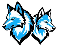 Blue & White Wolves Games